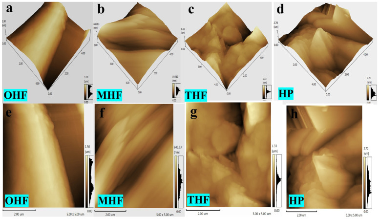 PMC11728793 – polymers-16-03473-f004