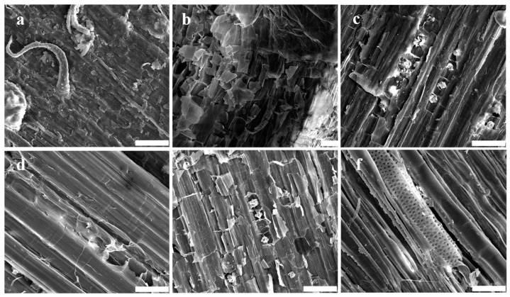 PMC11678562 – polymers-16-03592-f002