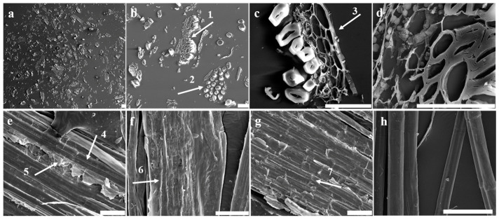PMC11678562 – polymers-16-03592-f003
