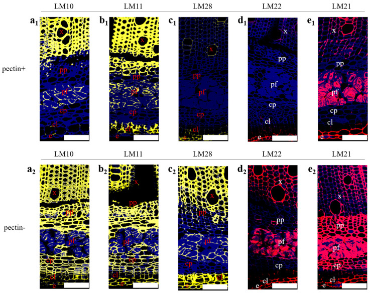 PMC11678562 – polymers-16-03592-f005