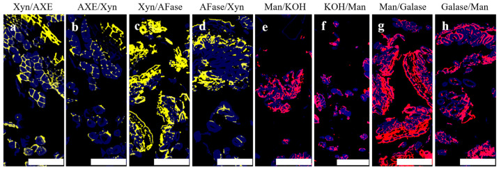 PMC11678562 – polymers-16-03592-f007