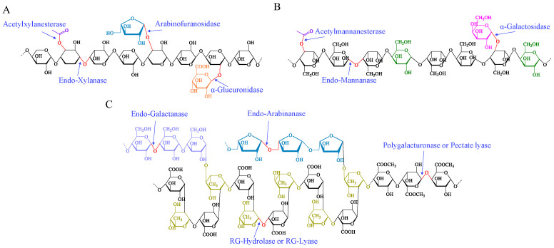 PMC11678562 – polymers-16-03592-f008