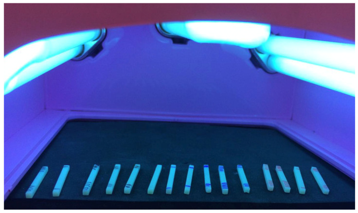 PMC11821076 – polymers-17-00265-f002