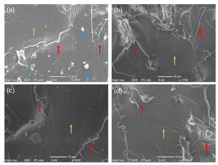 PMC11902828 – polymers-17-00587-f007