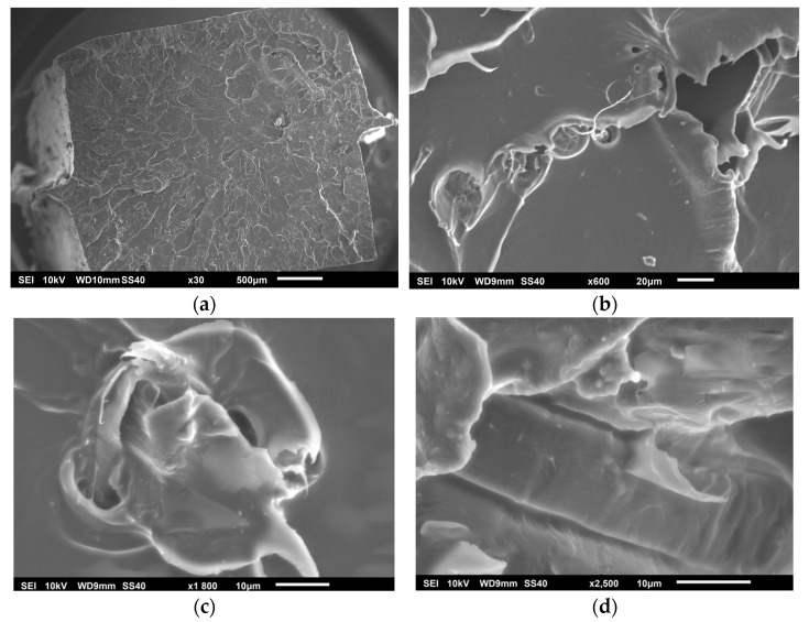 PMC11902533 – polymers-17-00652-f008