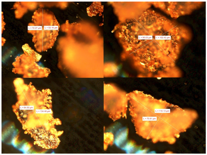 PMC11945918 – polymers-17-00764-f001