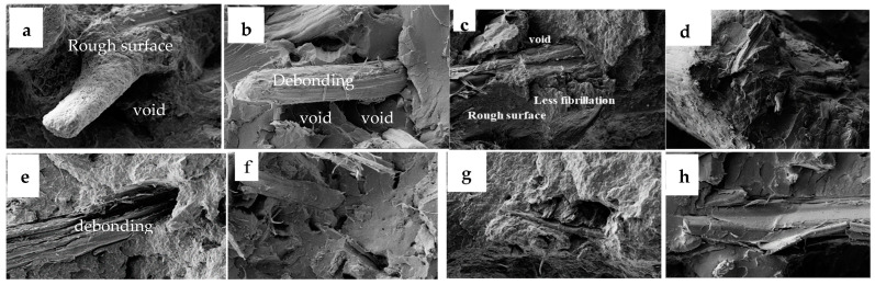 PMC11991632 – polymers-17-00844-f020