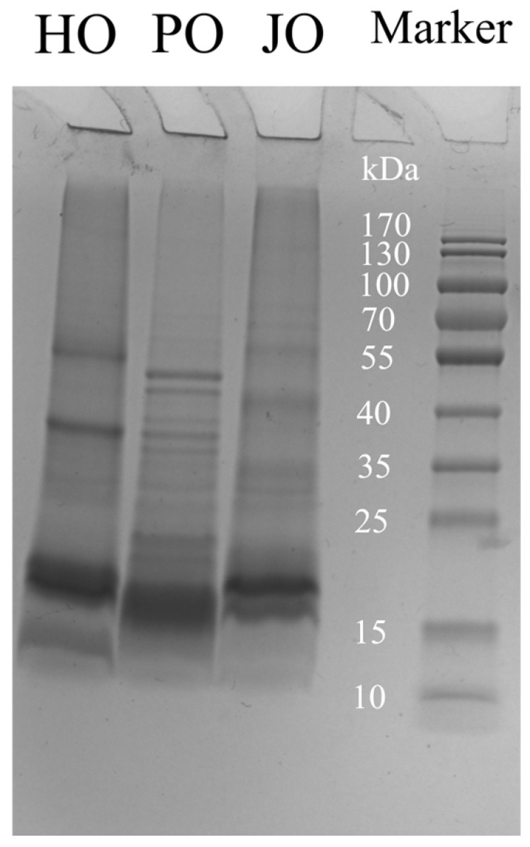 PMC12115041 – polymers-17-01346-f001