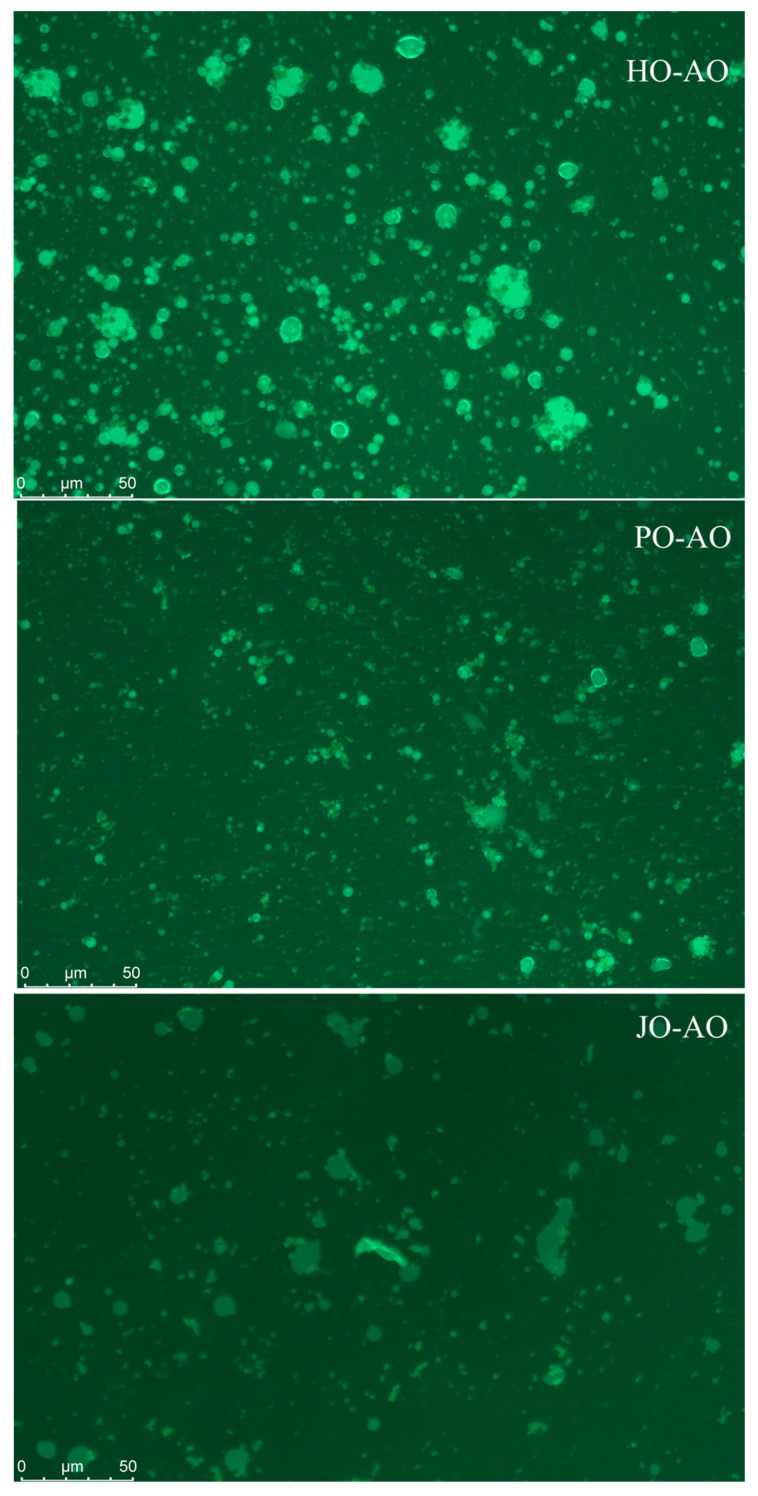 PMC12115041 – polymers-17-01346-f016