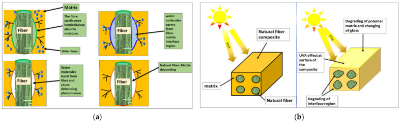 PMC12196716 – polymers-17-01691-f005