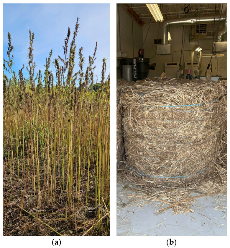 PMC12349608 – polymers-17-02103-f002