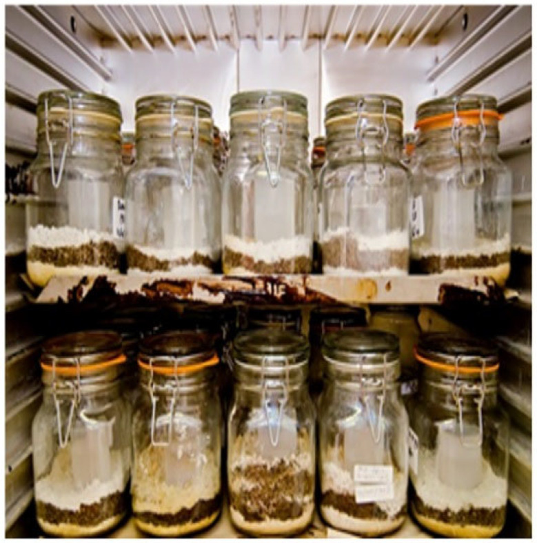 PMC12694512 – polymers-17-03134-f003