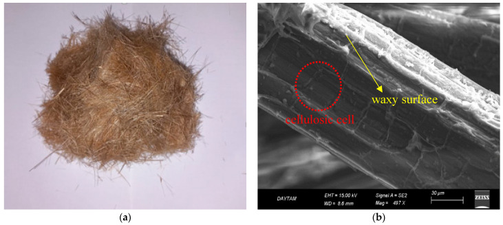 PMC12694348 – polymers-17-03216-f005