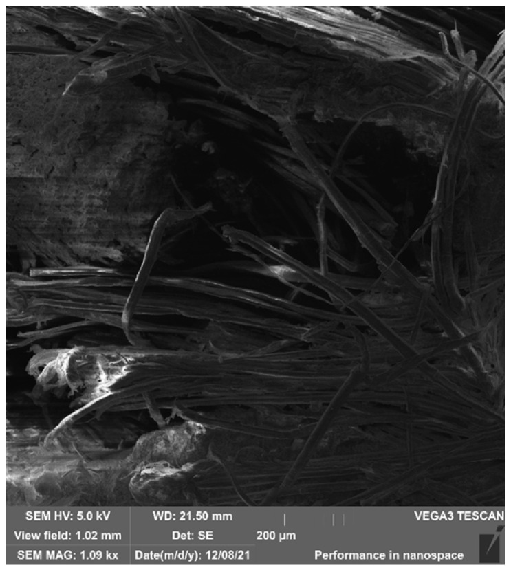 PMC12736950 – polymers-17-03295-f013