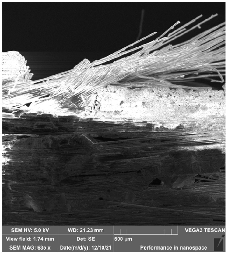 PMC12736950 – polymers-17-03295-f014