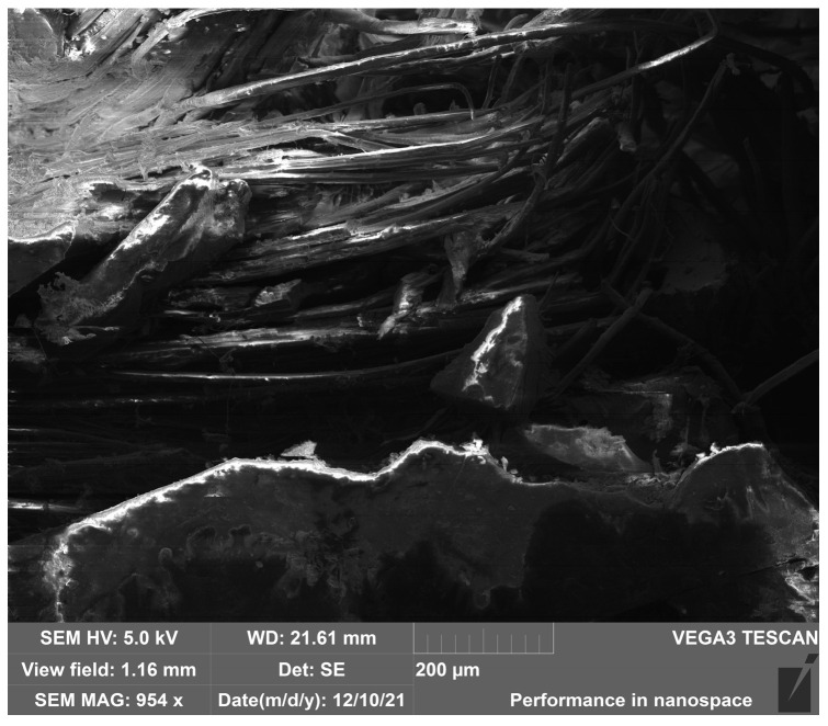 PMC12736950 – polymers-17-03295-f015