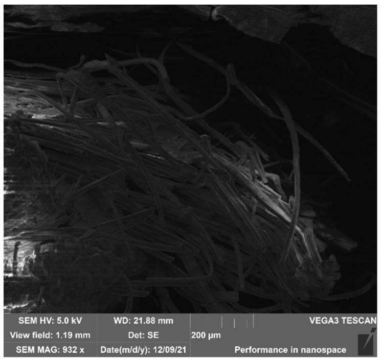 PMC12736950 – polymers-17-03295-f016