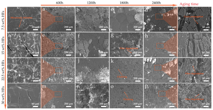 PMC12736921 – polymers-17-03309-f009