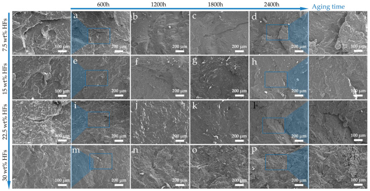 PMC12736921 – polymers-17-03309-f010