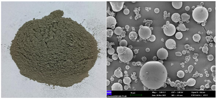 PMC12986801 – polymers-18-00653-f001