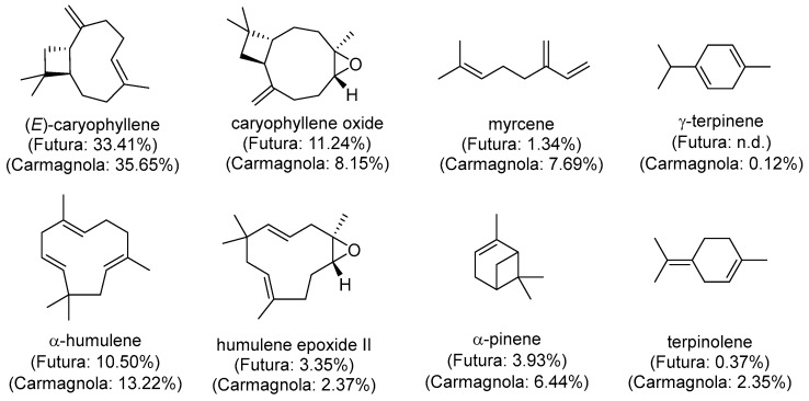 PMC13074719 – polymers-18-00824-f002
