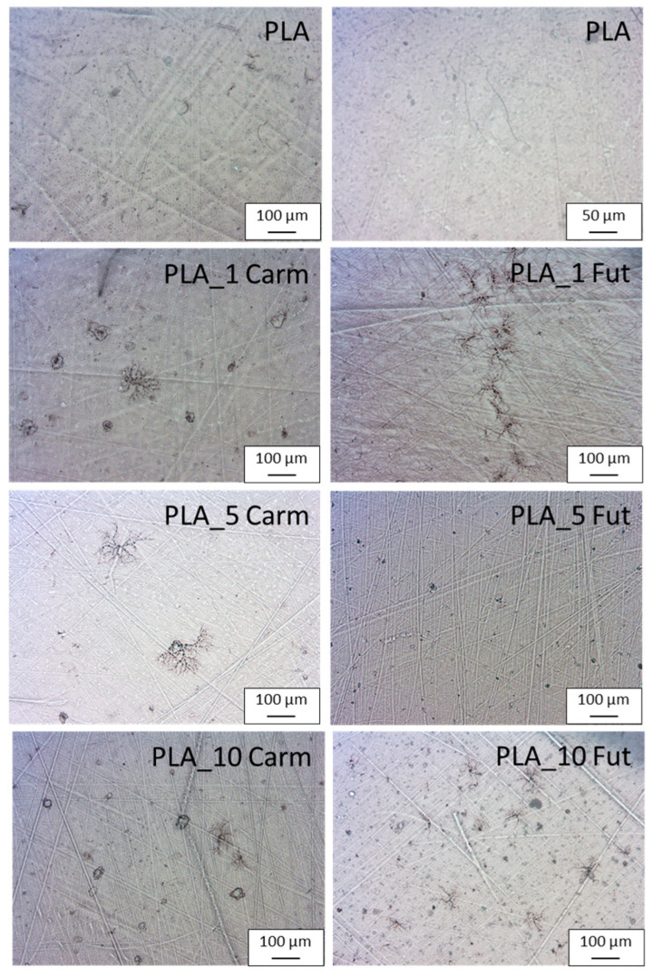 PMC13074719 – polymers-18-00824-f009