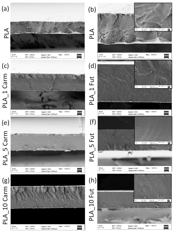PMC13074719 – polymers-18-00824-f010