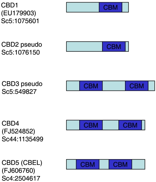 PMC3160888 – pone-0023555-g001