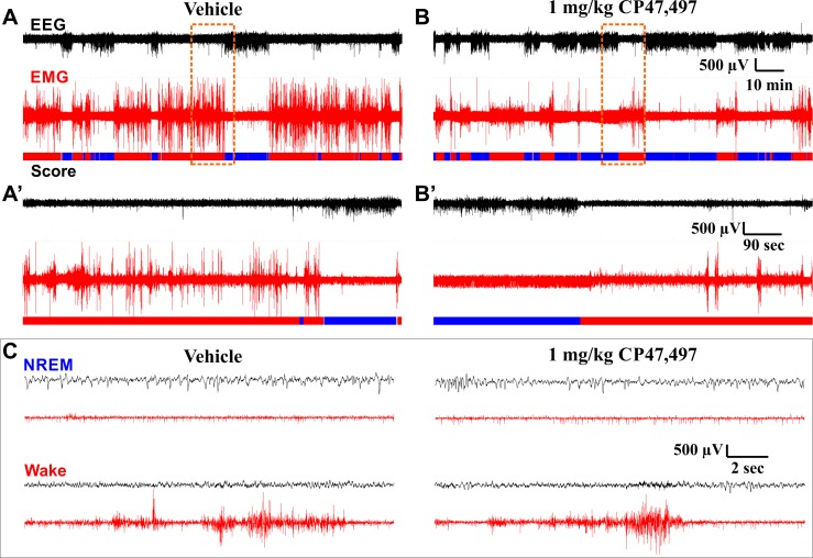 PMC4816426 – pone.0152473.g003