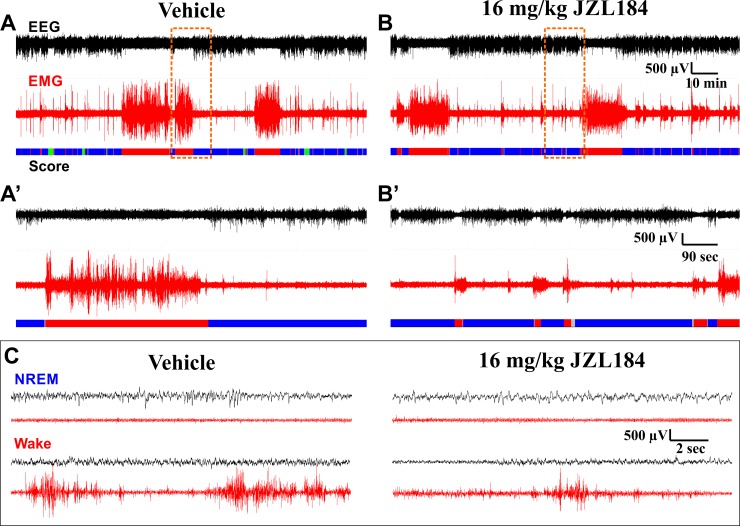 PMC4816426 – pone.0152473.g005