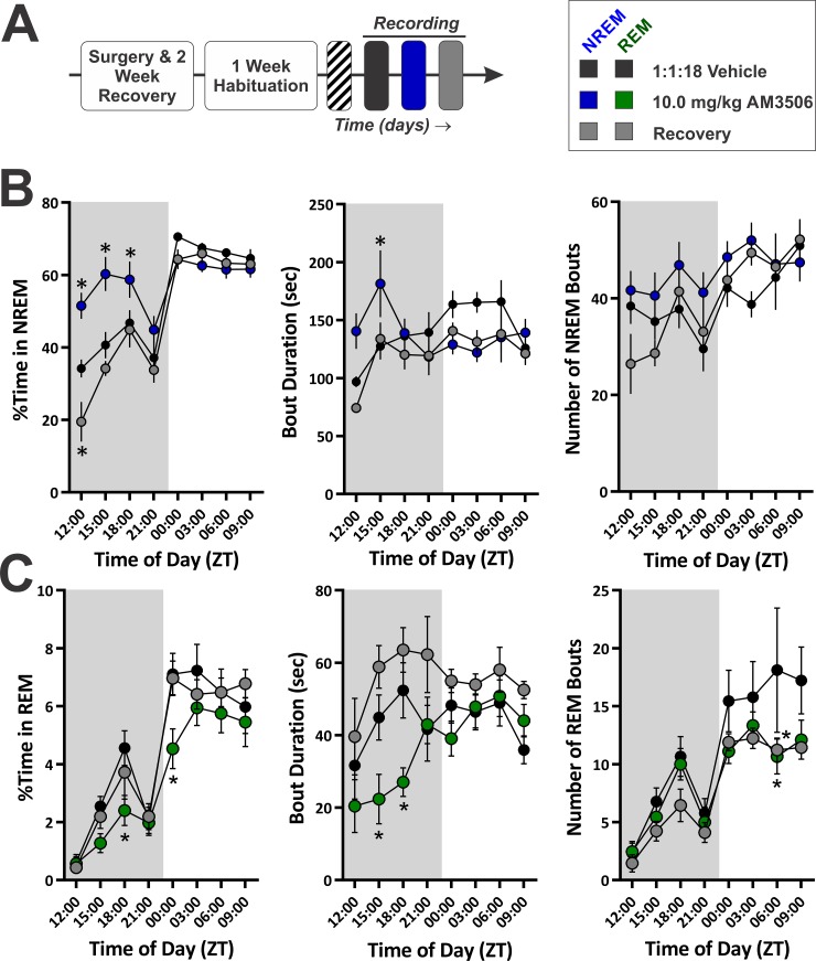 PMC4816426 – pone.0152473.g008