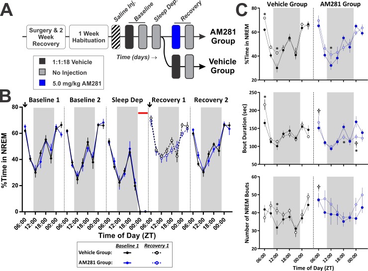 PMC4816426 – pone.0152473.g012
