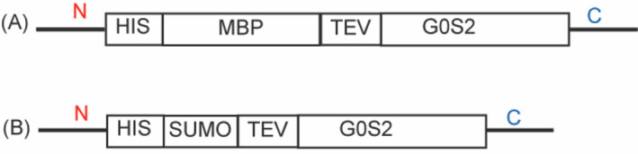 PMC8279337 – pone.0249164.g002