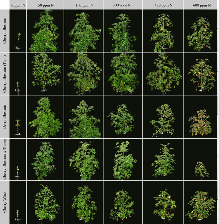 PMC8320997 – pone.0252985.g001