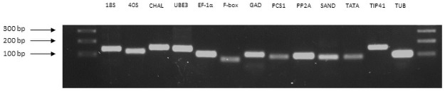 PMC8687539 – pone.0260660.g001