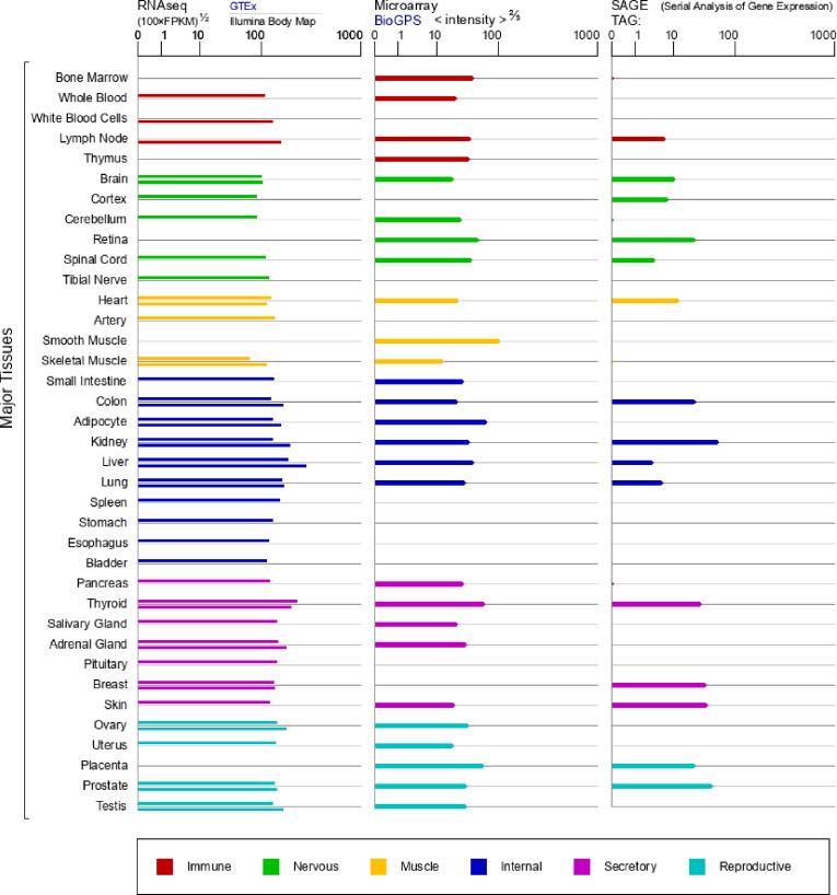 PMC8673678 – pone.0261254.g001