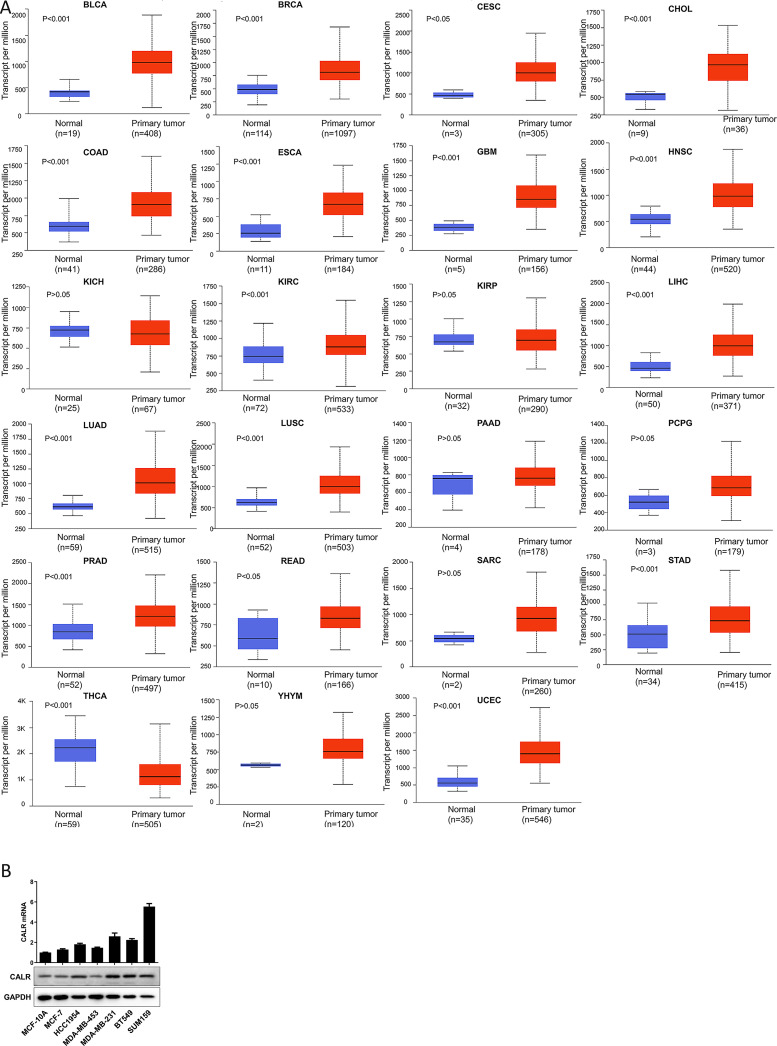PMC8673678 – pone.0261254.g002