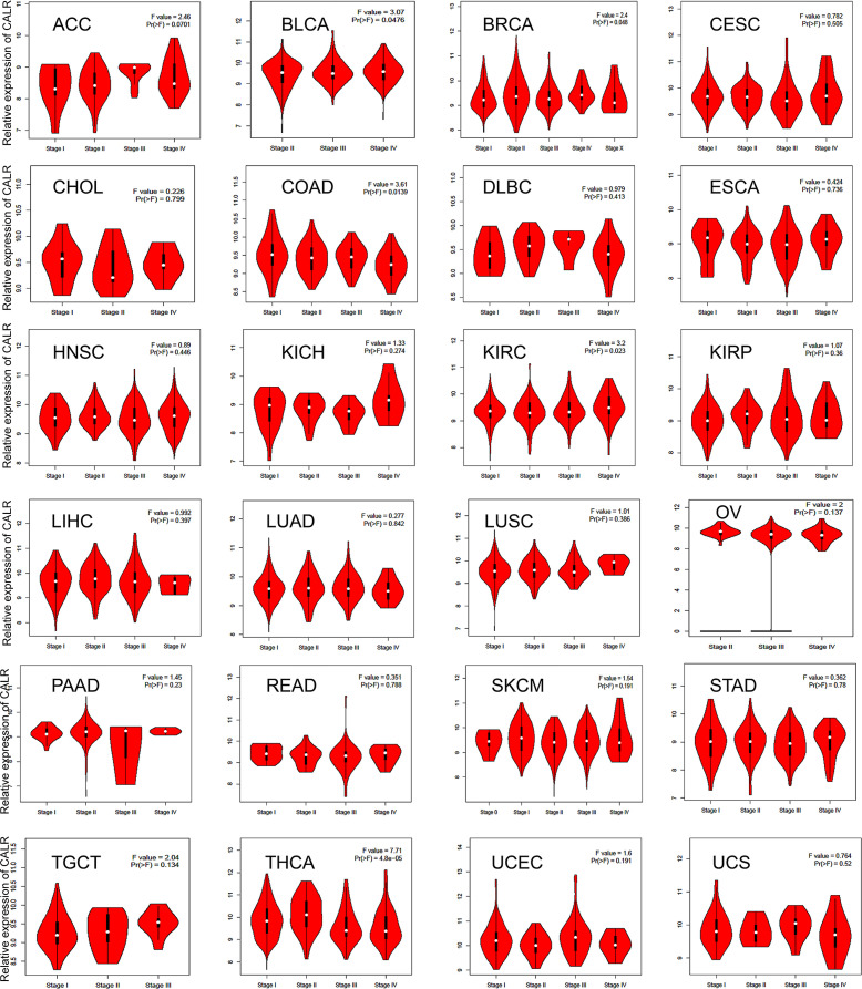 PMC8673678 – pone.0261254.g003