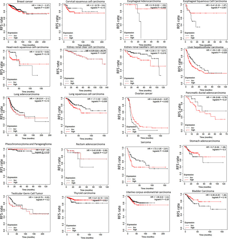 PMC8673678 – pone.0261254.g004