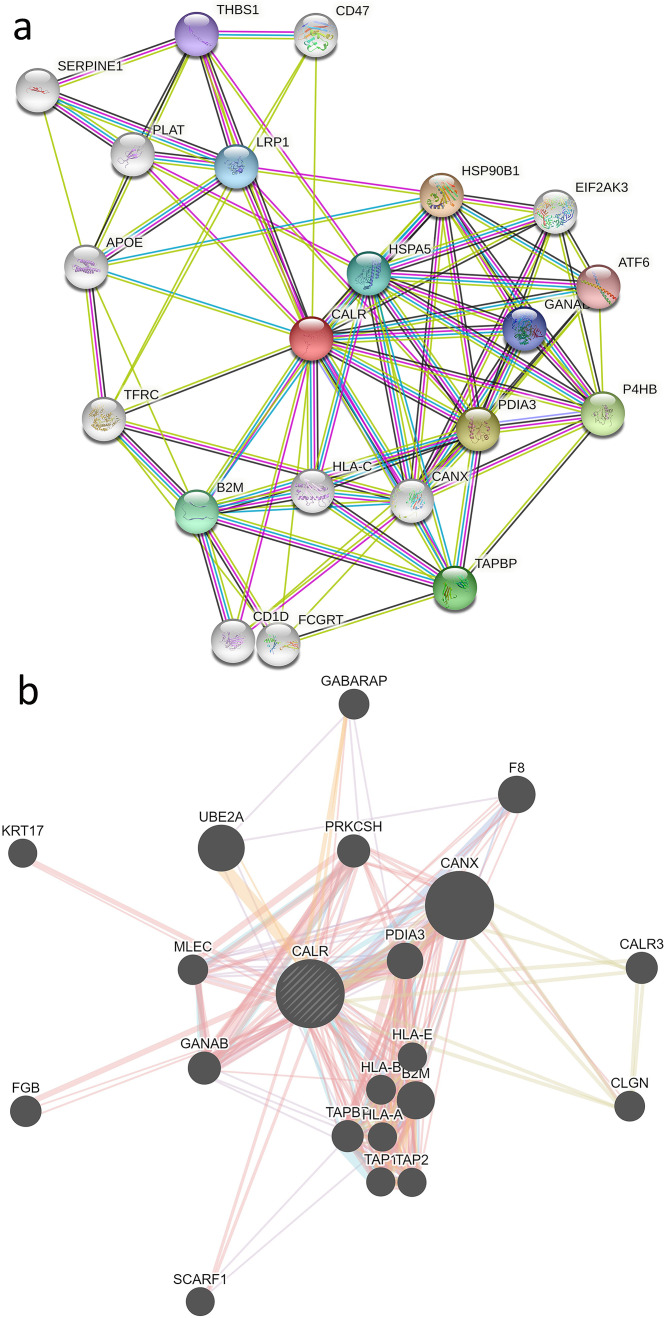 PMC8673678 – pone.0261254.g007