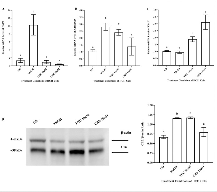 PMC9384983 – pone.0272819.g006