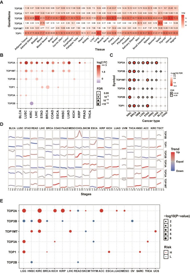 PMC9604985 – pone.0274546.g001