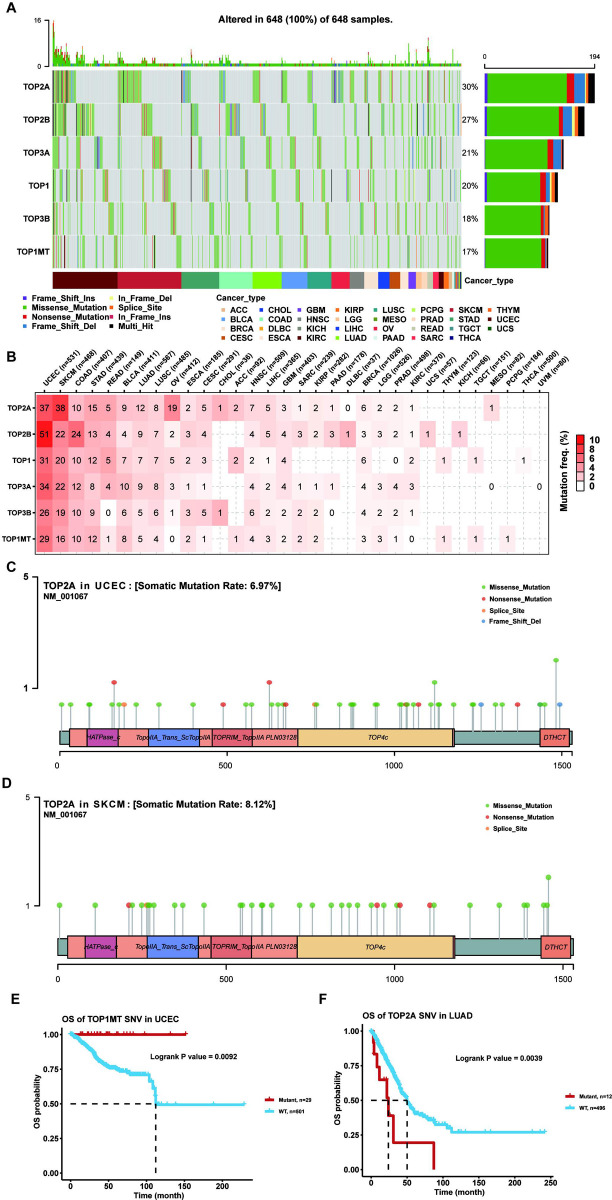 PMC9604985 – pone.0274546.g003