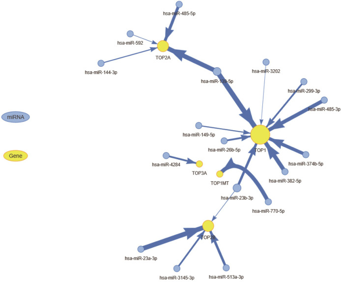 PMC9604985 – pone.0274546.g005