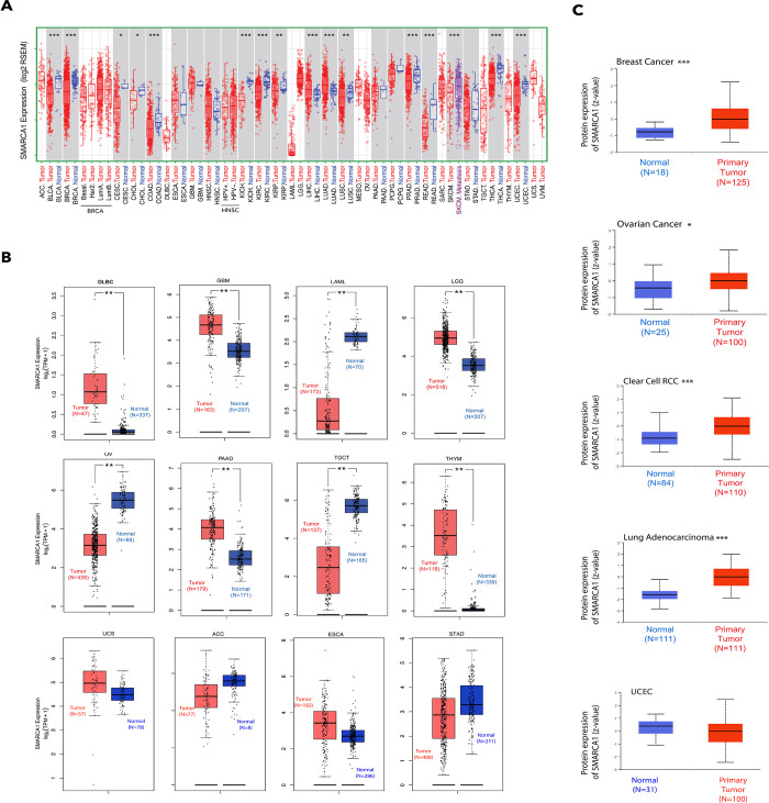 PMC9488775 – pone.0274823.g002