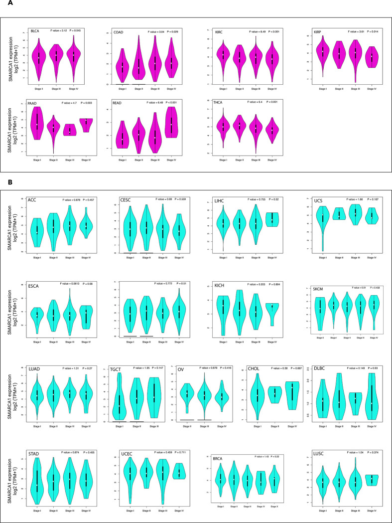 PMC9488775 – pone.0274823.g004