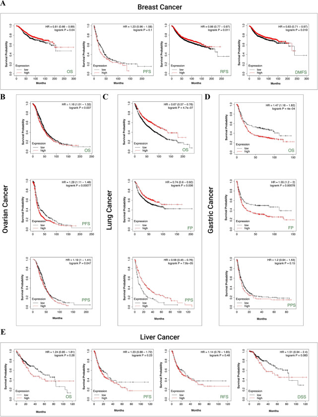 PMC9488775 – pone.0274823.g006