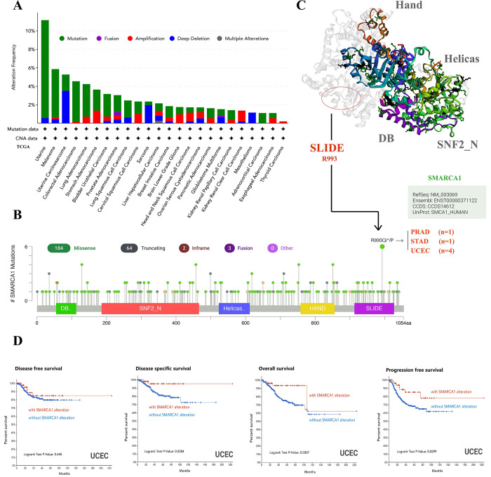PMC9488775 – pone.0274823.g008