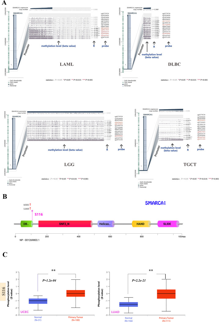 PMC9488775 – pone.0274823.g009