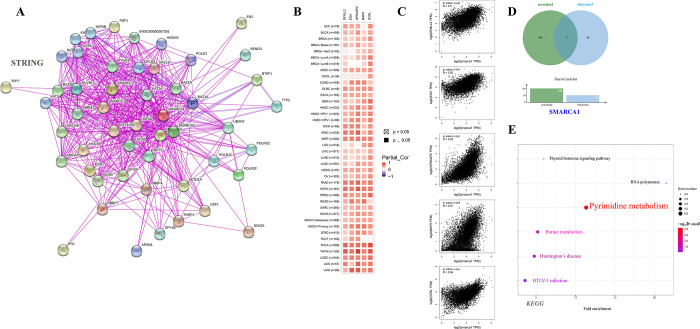 PMC9488775 – pone.0274823.g013